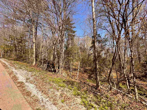 47 & 48 Okemo Way Lots 47 & 48, Mount Holly, VT 05758