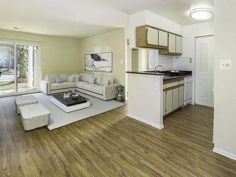 Living area and kitchen