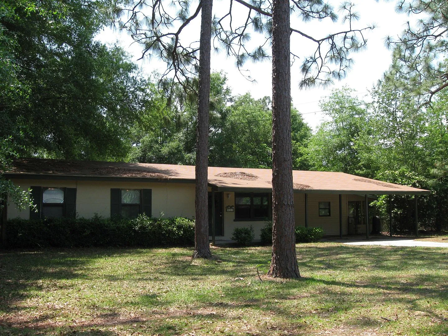 3 bedroom 1 bath house available September 1, 2026!! — Photo 2