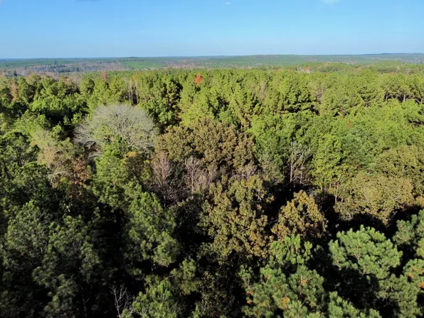 0 State Highway 14, Greensboro, AL 36744