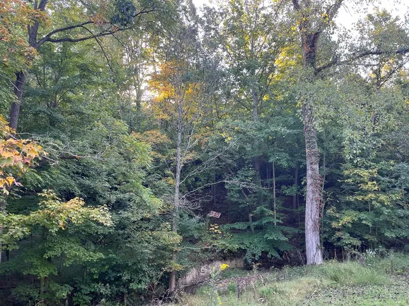 9256 State Route 772, Piketon, OH 45661