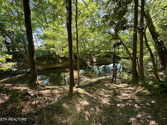 2nd image of 59 Union Hill Rd