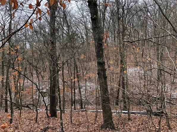 2535 Alpine Woods Dr, Wright City, MO 63390