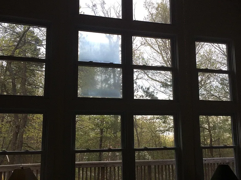 Livingroom windows