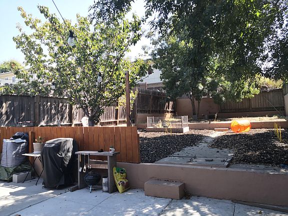 Back yard