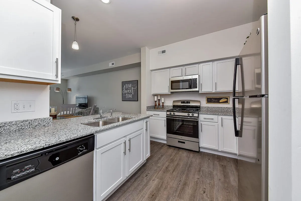 Modern kitchen with all stainless steel appliances - 1026 Kilbery Ln