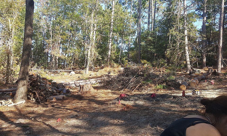 2nd image of 654 Cardinal Way Cir