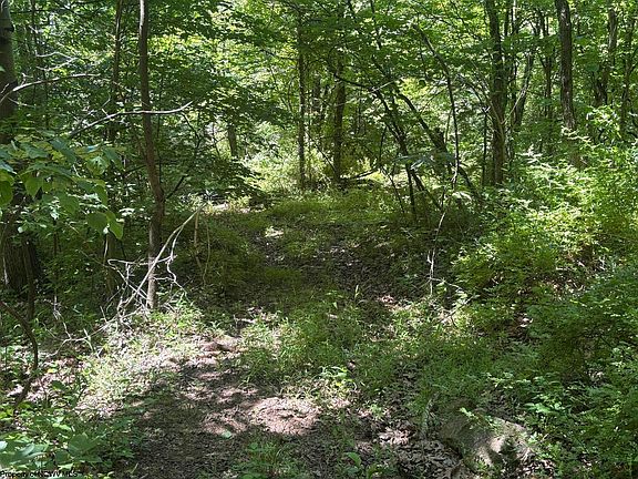 5th image of 1 Ashland Rdg
