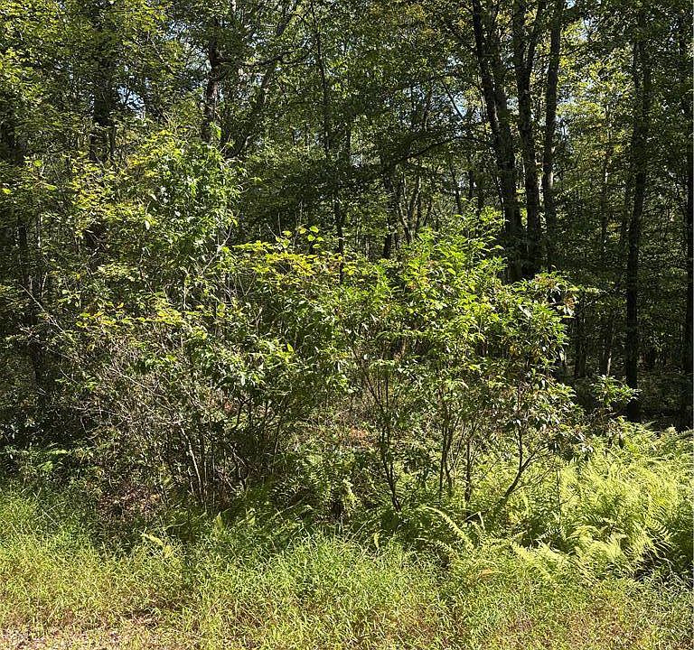 1st image of B11 W Clarks Ln