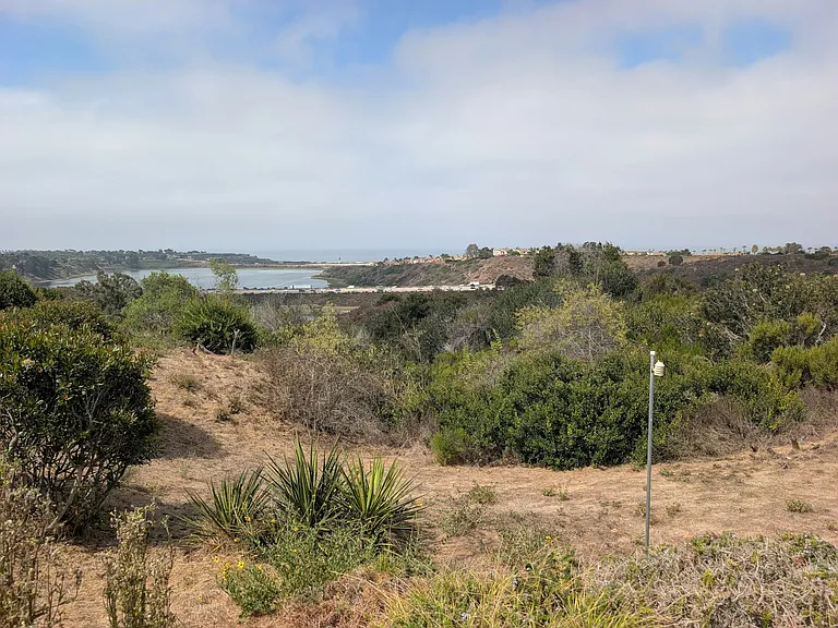 973 Blackstilt Ct — Photo 22
