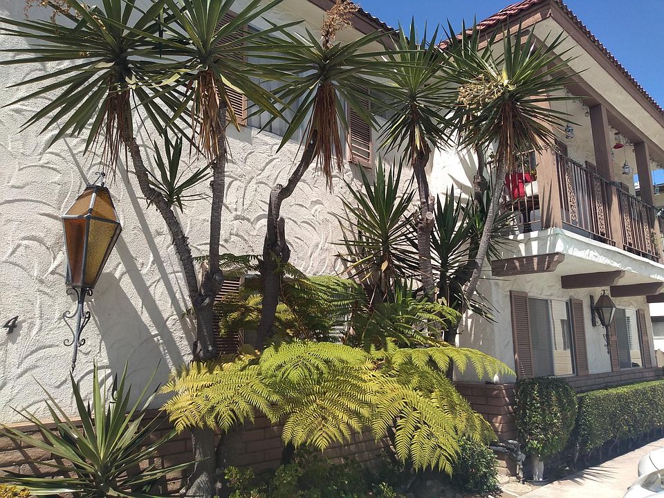 1st image of 4055 Louisiana St