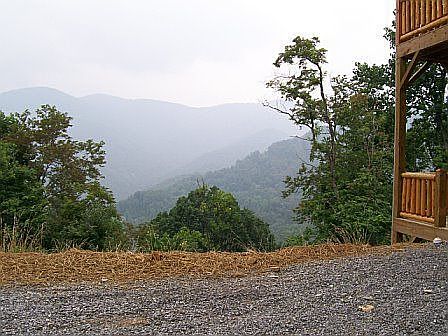 lower driveway view
