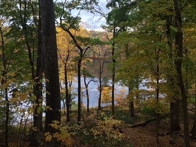 1st image of Lakeview Dr