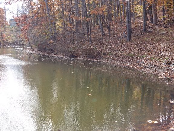 2nd image of Pond Hollow Ln