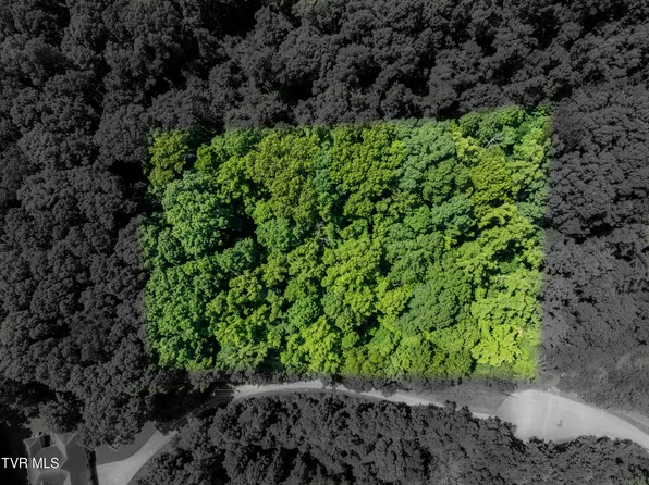 Asher Ct, Elizabethton, TN 37643