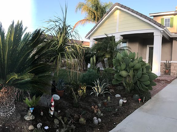 3rd image of 40244 Saddlebrook St