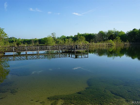 2nd image of 0 Milly Branch Rd