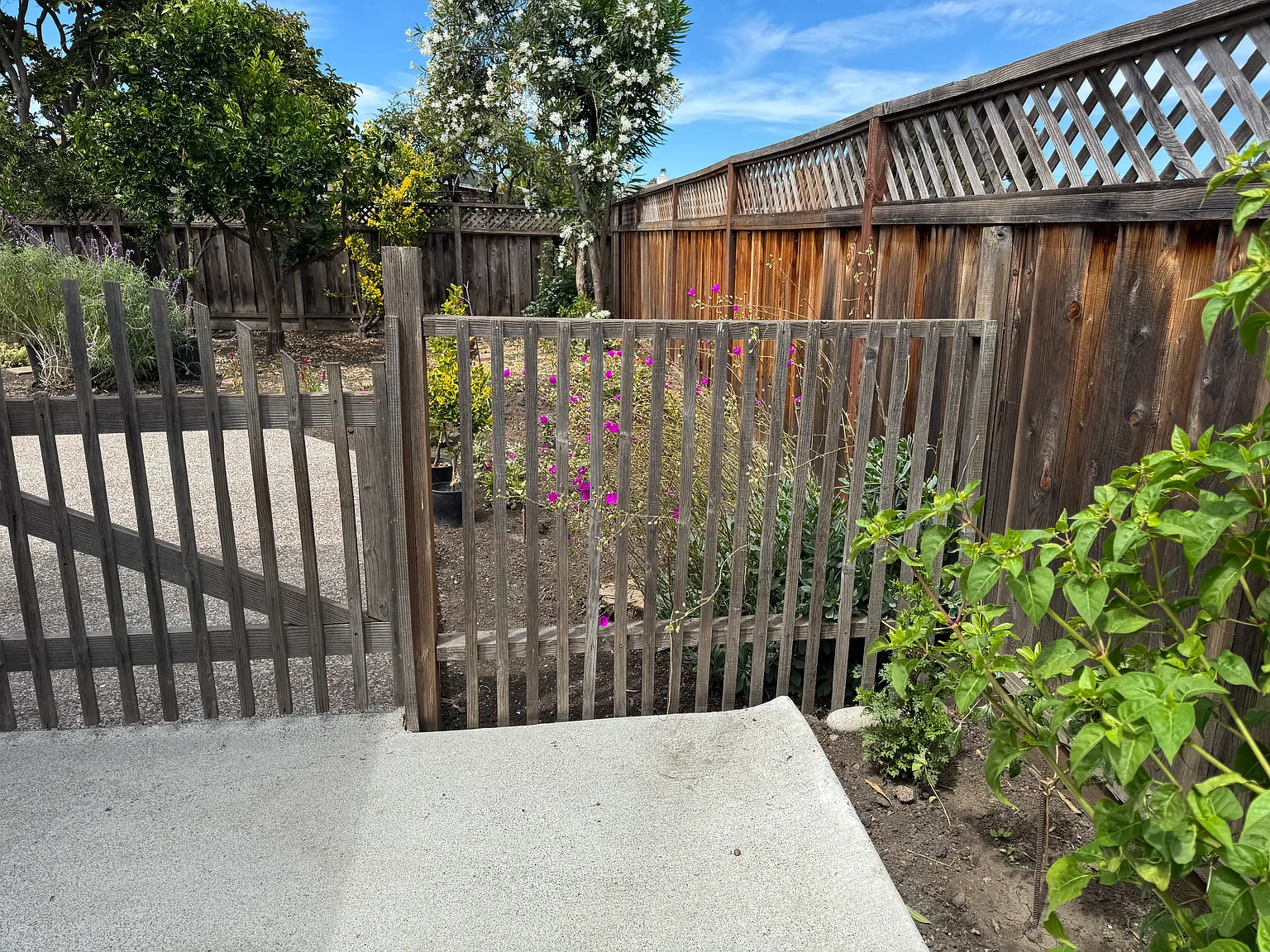 2 bed, 810 sqft, $4,200 — Photo 4