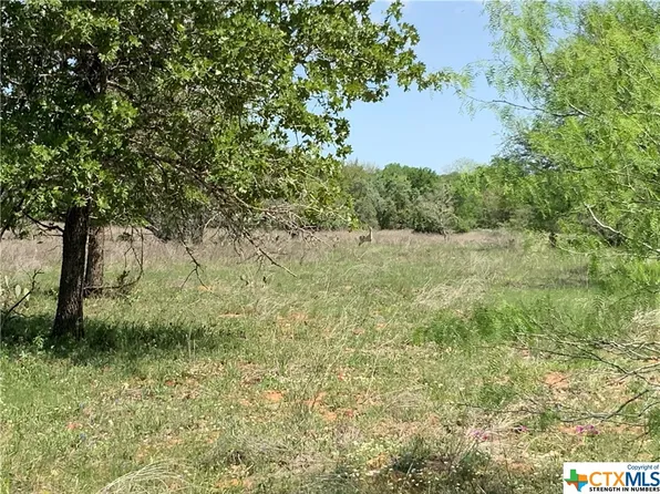 (undisclosed Address), Nixon, TX 78140