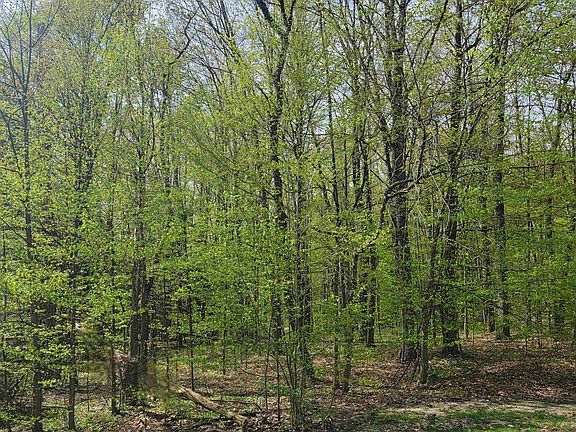 5th image of 6 W Schuss Mountain Dr