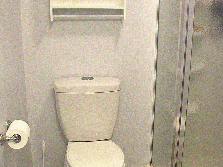 Dual flush, low flow toilet in primary bathroom
