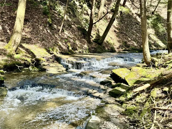 0 Stahl Rd #37, Mount Vision, NY 13810