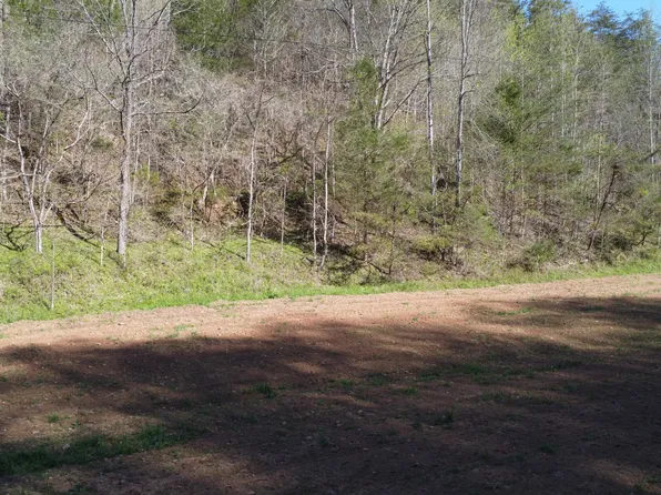 New Hope Rd, Sneedville, TN 37869