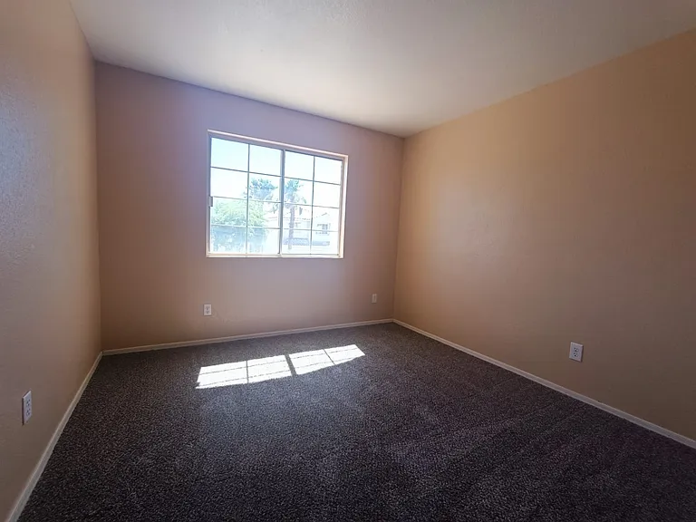 8409 Drop Camp St — Photo 30