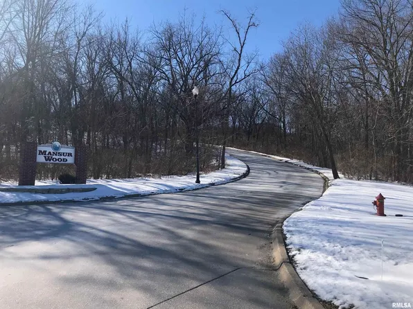 705 Rebecca Pl, Carbon Cliff, IL 61239