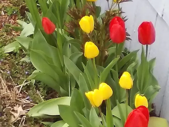 1880 Quentin Ave S, Lakeland, MN 55043