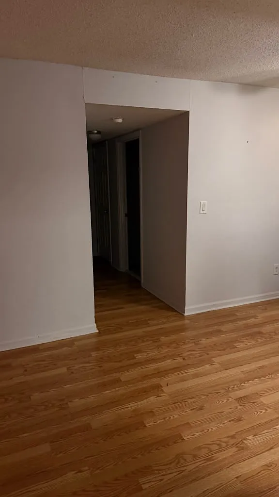 2 bed, $1,250 — Photo 3