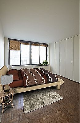 5th image of 445 5th Ave #14G