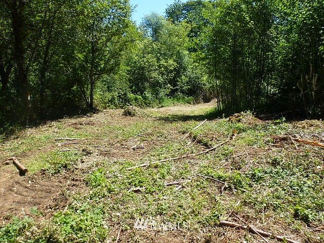 2nd image of 0 Three Lakes Road