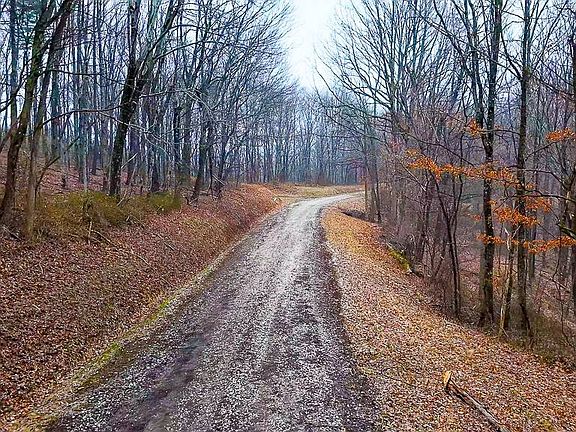 4th image of 0 Joy Rd