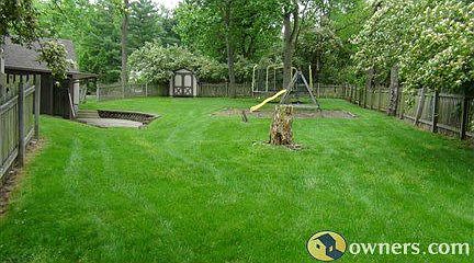 Back yard 1