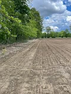2nd image of 9139 Woodhaven Rd