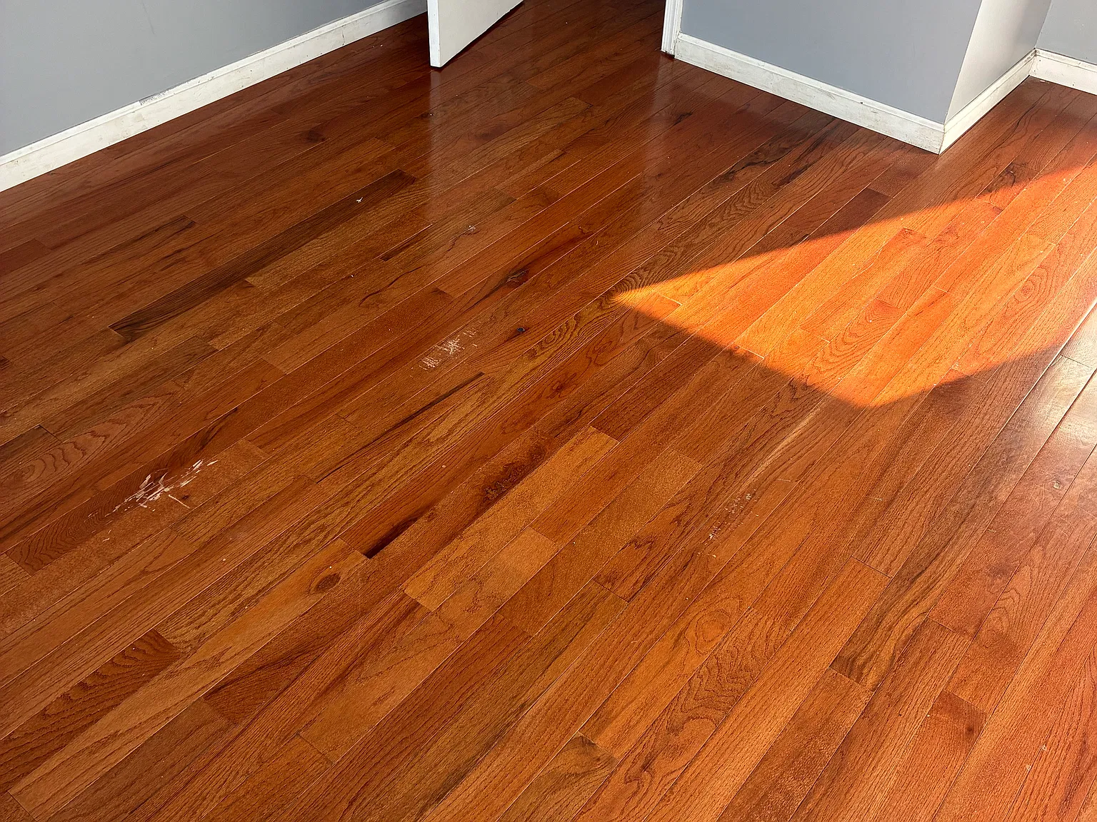 3 bed, 1150 sqft, $2,200 — Photo 3