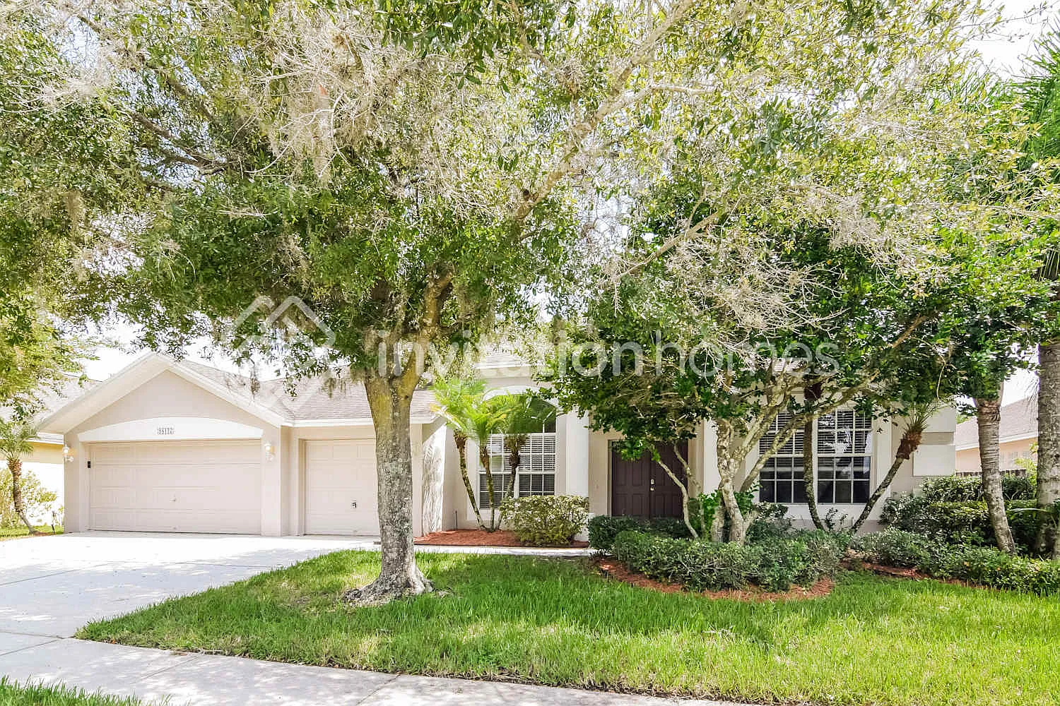 18127 Sweet Jasmine Dr Tampa, FL 33647 — Photo 1