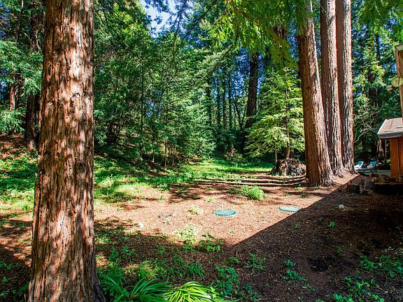 2nd image of 66 Sequoia Dr