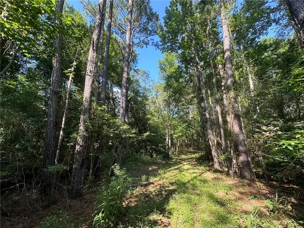 0 Pinckard Rd, Colfax, LA 71417