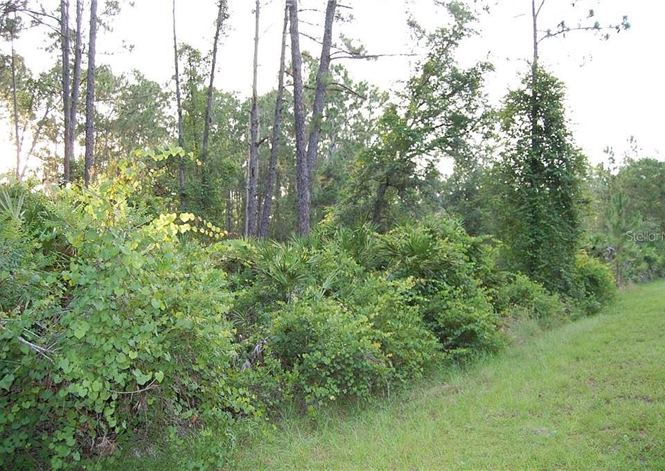 1st image of W Cashew Ct