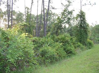 W Cashew Ct, Eustis, FL 32736