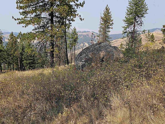 2nd image of 5884H Coyote Canyon Rd