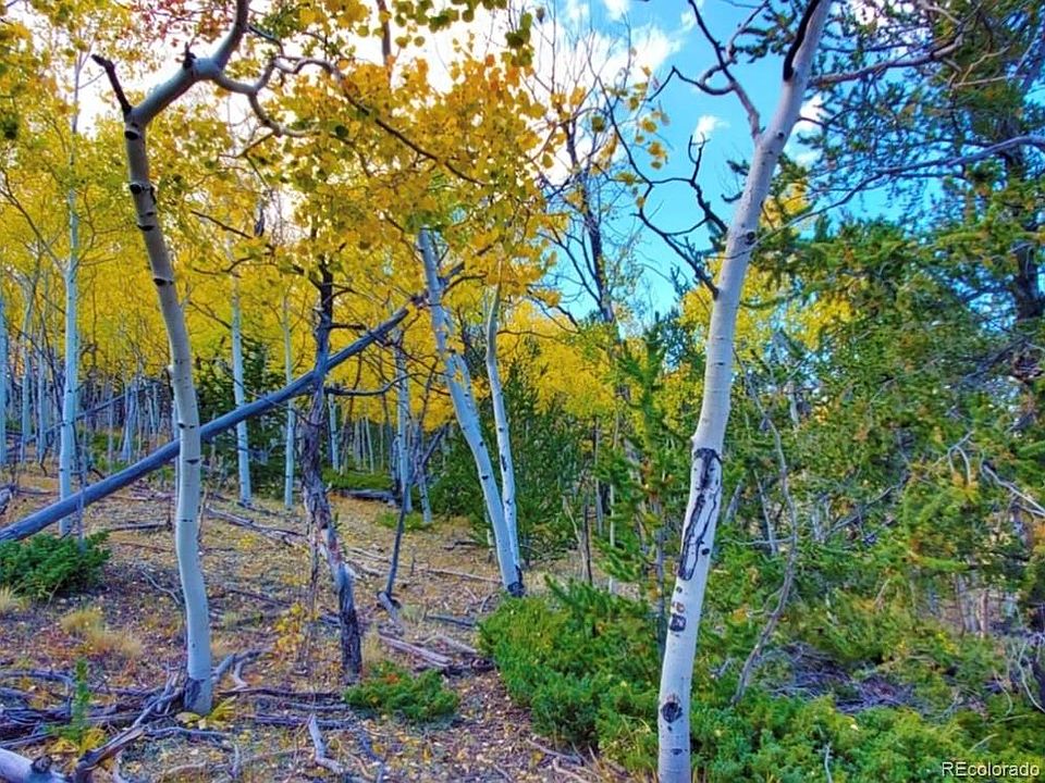 1st image of 2000 Hard Hickory Trail LOT 4180