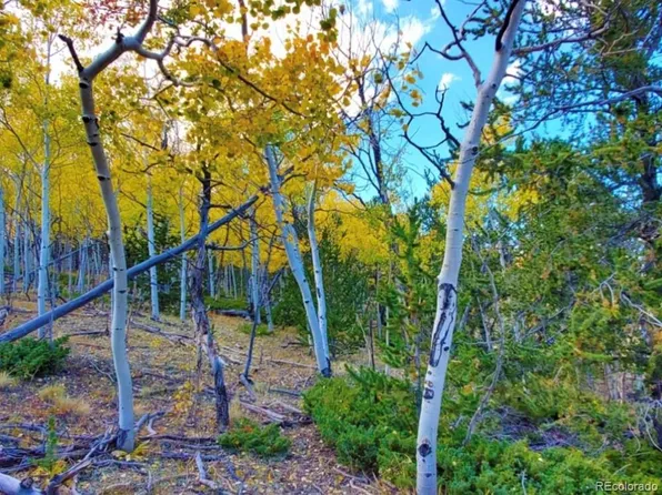 2000 Hard Hickory Trail LOT 4180, Guffey, CO 80820