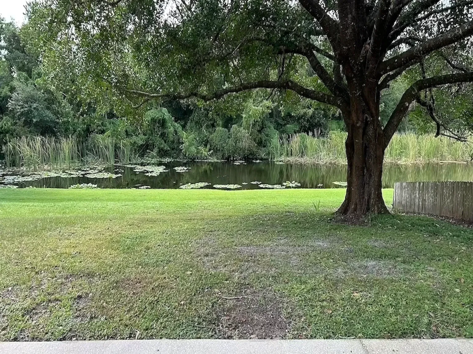 3 bed, 2.5 bath, 1620 sqft, $2,649 — Photo 3