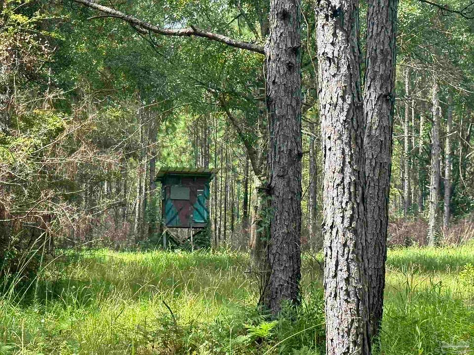 1st image of 0 Nokomis Rd