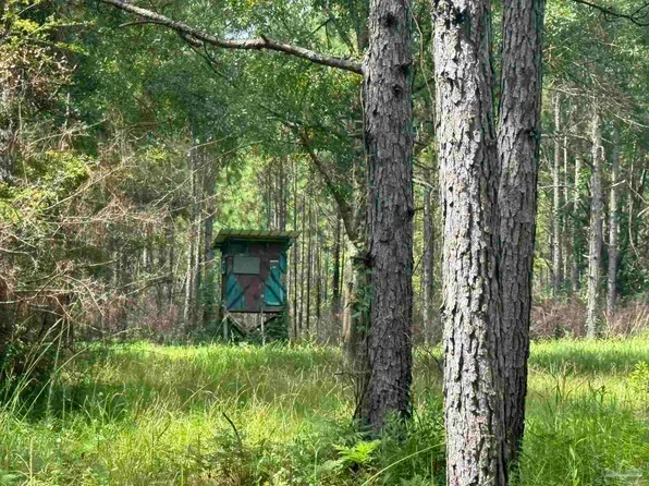 0 Nokomis Rd, Mc David, FL 32568