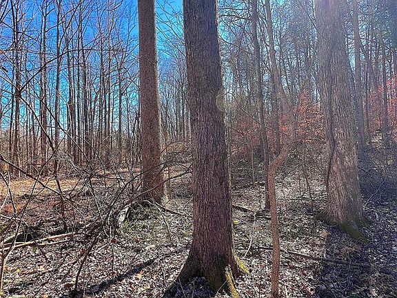 2nd image of 53.44 Sparks Rd