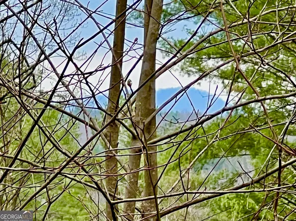 63 Walker Cir, Mineral Bluff, GA 30559